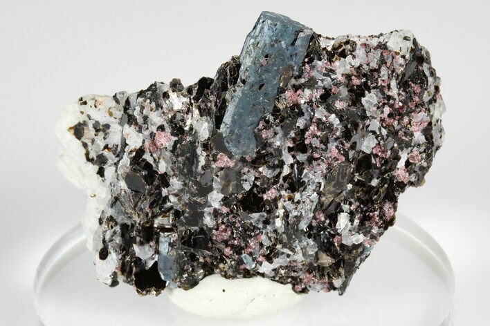 Blue Kyanite & Garnet in Biotite-Quartz Schist - Russia #178937